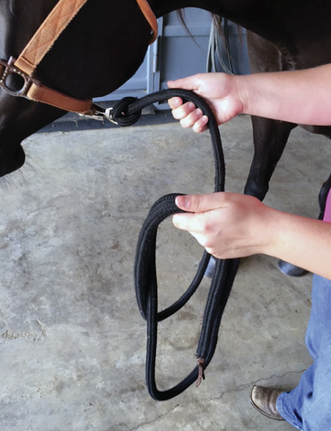 Hands hold horse's lead rope.