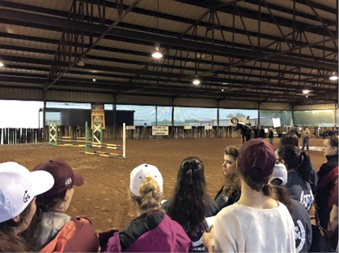 Crowd watches participants show their horses.