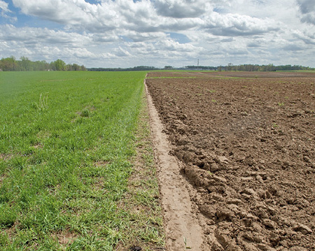 A large field with green grasses on one side and bare dirt on the other.