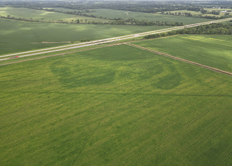 Aerial view of a field with some dark green areas but large swaths of yellow areas.