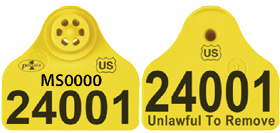 Front and back of a yellow plastic tag with herd and animal ID numbers.