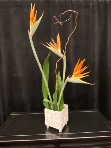 Upright floral arrangement using bird of paradise, corkscrew willow, and aspidistra leaves.