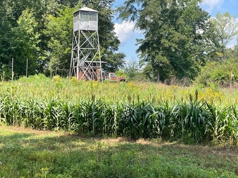 Coontail farm picBW