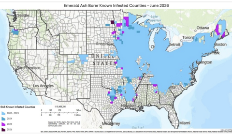 Map showing the U.S. counties with confirmed emerald ash borer infestations. It illustrates the pest’s broad distribution across much of the eastern and central United States, with infestations extending into portions of the West. 