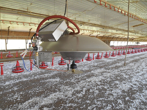 Close-up of a round, ceiling-hung radiant brooder in an empty poultry house. The circular metal heater has a wide, shallow dome shape with a dark central control housing and a ridged outer edge; loose white feathers are scattered across the floor below.
