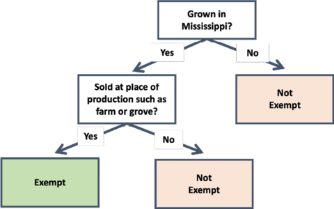Flowchart to determine whether your Christmas trees or fresh cut flowers are exempt from sales tax. It begins with the question “Grown in Mississippi?” If the answer is no, the path ends at a box stating, “Not Exempt.” If yes, the flow continues to the next box, “Sold at place of production such as farm or grove?” If yes, the flow ends at “Exempt.” If no, the flow ends at “Not exempt.”