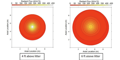 Radiant flux distribution maps show that the 4-foot brooder produces a smaller, more concentrated heated area with higher peak flux, while the 6-foot brooder distributes lower-intensity heat across a substantially larger area of litter. The heated floor area increases from 353 square feet at 4 feet to 662 square feet at 6 feet.