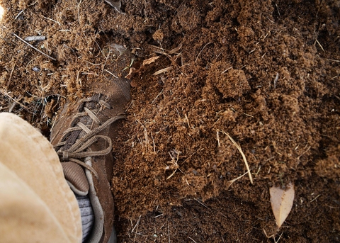 A boot is mostly covered in a pile of dead ants.
