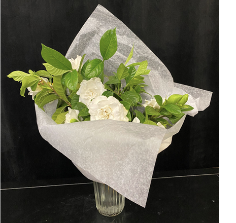 A bouquet of gardenias wrapped in white tissue paper are placed in a clear vase filled with flower solution.