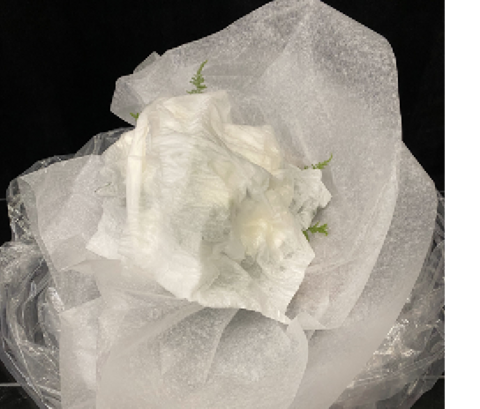 Tissues cover a bouquet surrounded by waxed paper and plastic bag.