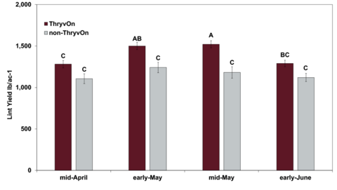 Bar chart compares ThryvOn and non-ThryvOn lint yields, in pounds per acre, by cotton planting date. For mid-April, the ThryvOn bar labeled “C” shows 1,280.62, and the non-ThryvOn bar labeled “C” shows 1,105.40; for early May, the ThryvOn bar labeled “AB” shows 1,500.47, and the non-ThryvOn bar labeled “C” shows 1,241.07; in mid-May, the ThryvOn bar labeled “A” shows 1,520.18, and the non-ThryvOn bar labeled “C” shows 1,181.03; and for early June, the ThryvOn bar labeled “BC” shows 1,289.57, and the non-ThryvOn bar labeled “C” shows 1,120.57.