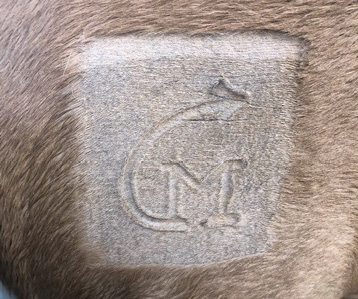 A shaved square with an outline of a brand design in its center.