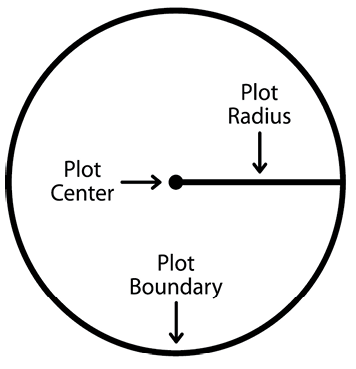 An example inventory plot. The diagram shows the circular plot (the given circle is the plot boundary), indicates the plot center with an arrow and dot, and indicates the plot radius with a line. 