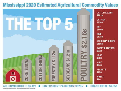 Chart shows top agriultural commodities in Mississippi.