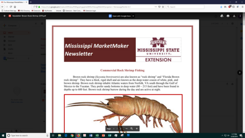 Cover of newsletter.