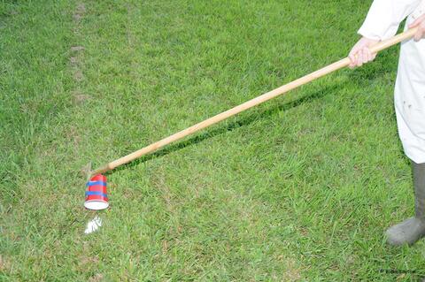 Person using a disposable cup taped to a long stick to dump insecticidal dust over yellowjacket nest entrance.