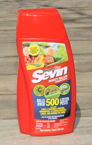 red bottle of Sevin insect killer