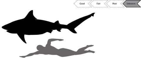 Current status of Blacktip shark population is good.