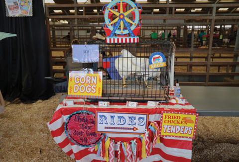 The coop is designed like a circus with many signs. The signs include &quot;Fried Chicken Tenders,&quot; &quot;Corn Dogs,&quot; &quot;Rides&quot; and others.