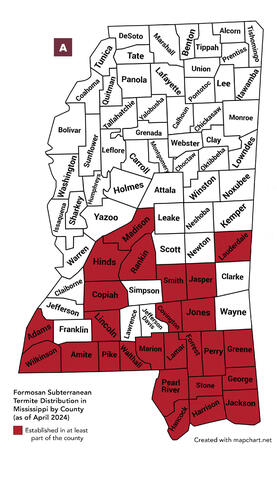 Formosan subterranean termite distribution by county as of April 2024. Established (in at least part of the county): Adams, Wilkinson, Amite, Madison, Hinds, Rankin, Copiah, Lincoln, Pike, Walthall, Marion, Smith, Jasper, Covington, Jones, Lauderdale, Lamar, Forrest, Perry, Greene, Pearl River, Stone, George, Hancock, Harrison, Jackson. 