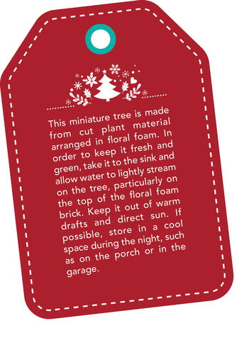 Red tag with this text: This miniature tree is made from cut plant material arranged in floral foam. In order to keep it fresh and green, take it to the sink and allow water to lightly stream on the tree, particularly on the top of the floral foam brick. Keep it out of warm drafts and direct sun. If possible, store in a cool space during the night, such as on the porch or in the garage.