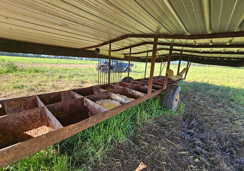 A long, metal feeder divided into multiple sections under a metal roof.