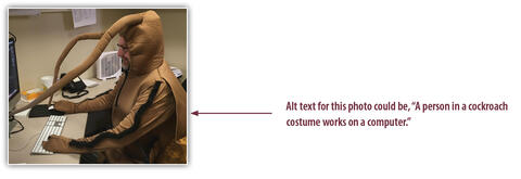 An image with example alt text in a label box that reads: Alt text for this photo could be, &quot;A person in a cockroach costume works on a computer.&quot;