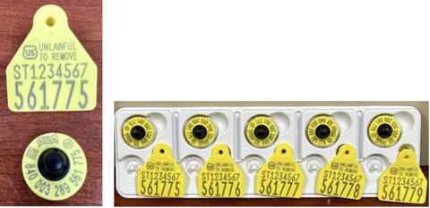 Example sheep/meat goat/commercial dairy goat ear tags.