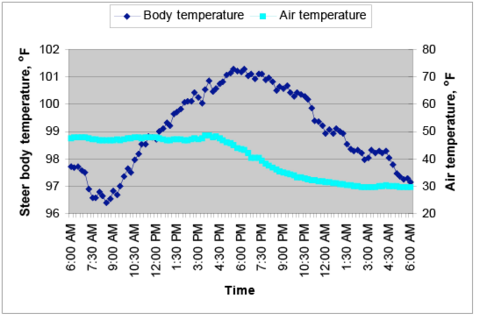 On a warm day at 6 a.m., steer body temperature was a little less than 98. It dipped from 7:30 to 9 a.m. to about 96.5, then it began a steady increase throughout the day and afternoon, peaking at about 101 at 6 p.m. Then it began a steady decline through the night and early morning hours, ending at about 97 degrees at 6 a.m. the following morning.