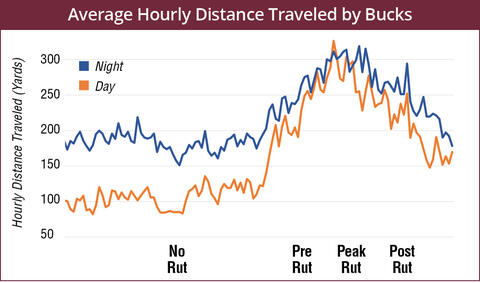 The average hourly distance (in yards) traveled by bucks: no rut, about 100 yards in the day and 175 yards in the night; pre-rut, about 200 yards in the day and 250 at night; peak rut, about 300 yards in the day and night; and post-rut, about 200 yards in the day and 250 yards at night.