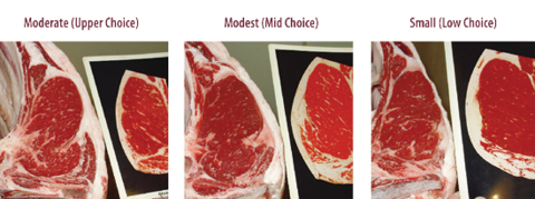 Upper choice, mid choice, and low choice have varying degree of marbling, respectively from moderate to modest to small.  
