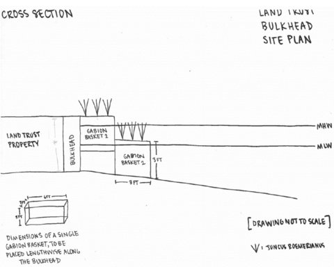 Sample cross-section drawing labeled Land Trust Bulkhead Site Plan. Labeled areas include Land Trust Property, bulkhead, gabion baskets, and mean high and low water marks. A smaller drawing shows the dimensions of a single gabion basket, to be placed lengthwise along the bulkhead. Plant symbols indicate where Juncus roemerianus will be planted next to the gabion baskets. 