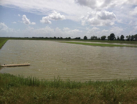 A large pond-like body of water with trees and cropland in the distance.
