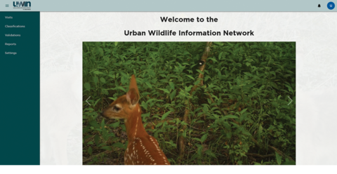 The UWIN homepage features the heading “Welcome to the Urban Wildlife Information Network.” A left column features classification, validations, and reports navigation links. A photo slideshow displays an image of a raccoon grazing in a flower-filled forest at sunrise.