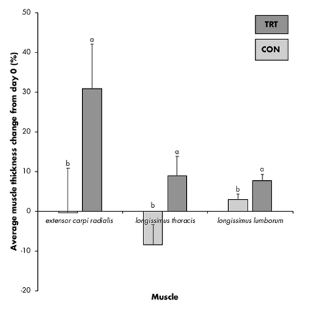 Extensor carpi radialis: control group, decreased 1%; treatment group, increased 30%. Longissimum thoracis: control group, decreased 9%; treatment group increased 9%. Longissimus lumborum: control group, increased 2%; treatment group, increased 9%.