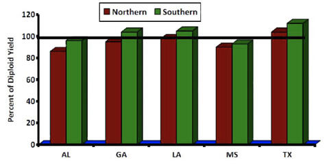 Percent total season forage yield of tetraploid cultivars compared to diploid cultivars within two regions (northern and southern) at five test sites in SE U.S.: Northern Alabama at about 90%; Southern Alabama at about 100%; Northern Georgia at about 100%; Southern Georgia at about 110%; Northern Louisiana at just over 100%; Southern Louisiana at about 110%; Northern Mississippi at about 90%; Southern Mississippi at about 95%; Northern Texas at about 110%; Southern Texas at almost 120%