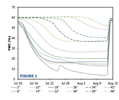 Volumetric water content at 2, 6, 10, 14, 18, 22, 26, 30, 34, 38, 42, and 46 inches, as reported by Drill &amp; Drop probes in a Sharkey soil that started wet on July 10 and then dried gradually over five weeks with minimal rain and no irrigation.