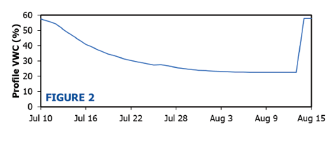 In the example described by Figure 1, profile volumetric water content decreased gradually from 58% on July 10 to 22% on August 11.