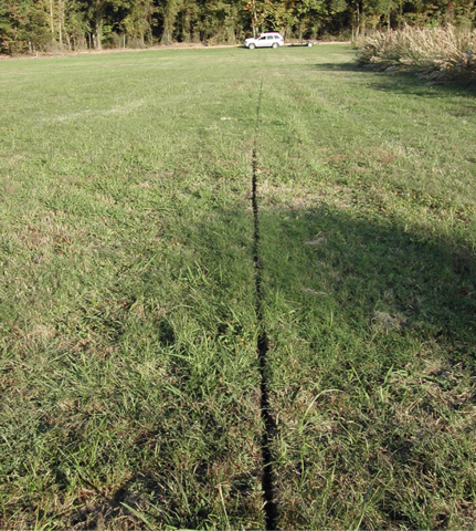 A very narrow trench with green vegetation all around.