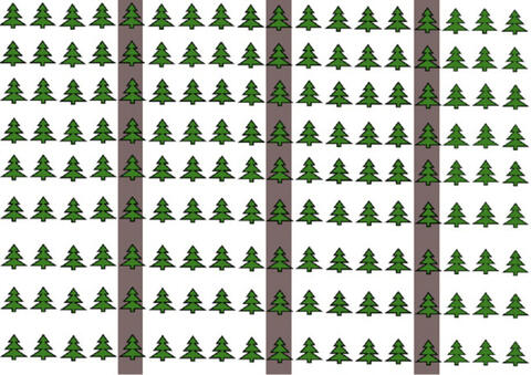 Diagram of rows of trees with every fifth row shaded.