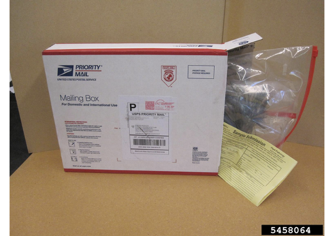 Priority Mail box with a grass-filled, sealed plastic bag and yellow sample submission form.