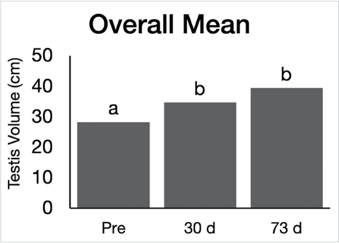 In the Texas A&M study, researchers measured stallions' testicles before the unilateral orchiectomy, 30 days post-operation, and 73 days post-operation. The remaining testicles increased in size by about 33 percent.