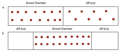 In partial-house brooding, the brood chamber has 14 evenly spaced brooders, and the off end has eight. In center-house brooding, the brood chamber (in the center) has 16 evenly spaced brooders, and the off ends on either side have none.