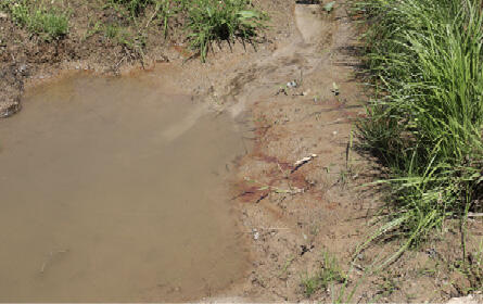 Red sediment flows into a cloudy puddle of water.