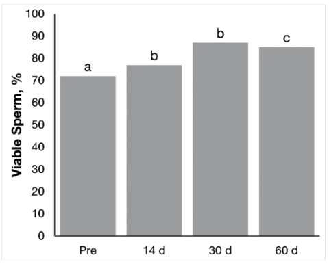 Percent viable semen increased from about 70% to 75% at day 14, to about 85% at day 30, and then decreased slightly (by about 2%) at day 60 post-orchiectomy.