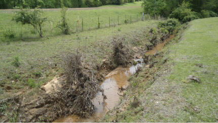 Figure 4A before: A ditch has muddy water and an eroded bank with green grass and weeds.