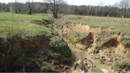 Figure 5A before: A field with a deep trench with significant dirt eroding on both sides.