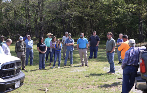 A group of people gathers in a clearing.