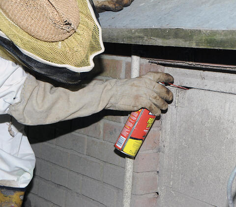 A person sprays insecticide from an aerosol can with a straw attachment into a crevice.