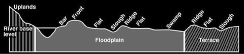 Variations in topography include uplands at the river base level; bar, front, flat, slough, ridge, flat, and swamp at the floodplain level; and ridge, flat, and slough at the terrace level. Refer to “Floodplain Topography” in the text.